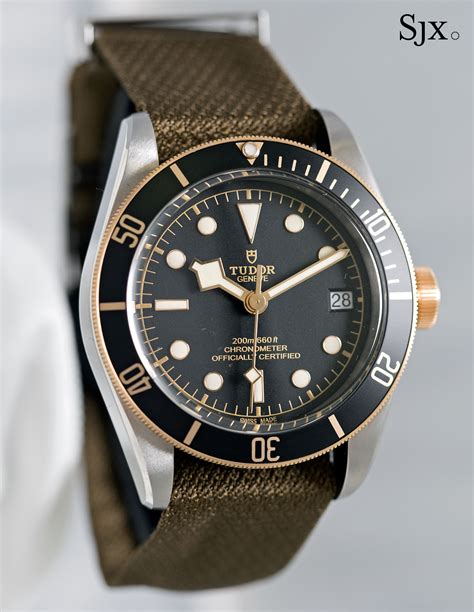 tudor black bay s&g problem|79733n.